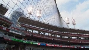 Baseball Safety Netting