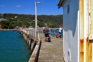 pigeon netting to be installed under wharf