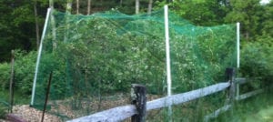 netting Redden Custom Netting