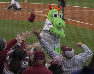 Charlotte-Knights-screen safety netting