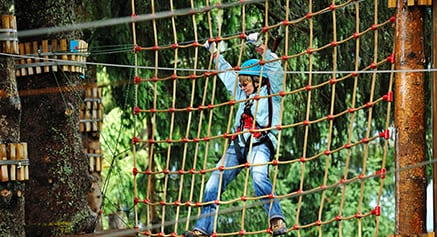 park netting