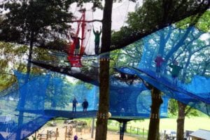 treetop nets