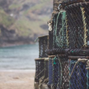 fisheries cages