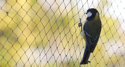Agricultural Netting | Bird Control Netting | Wildlife Control Netting | Redden Net Custom Nets Ltd.