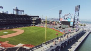 net gains park netting